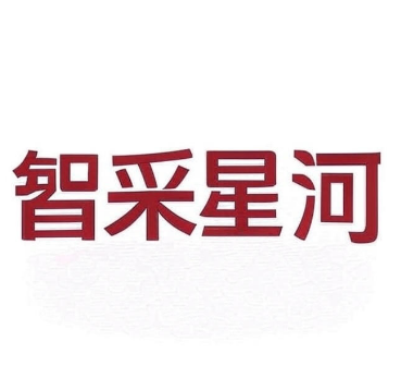 广州智采星河招标代理有限公司